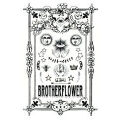 Brotherflower Set to Blossom with Self-Titled Debut Album Release on March 29, 2024